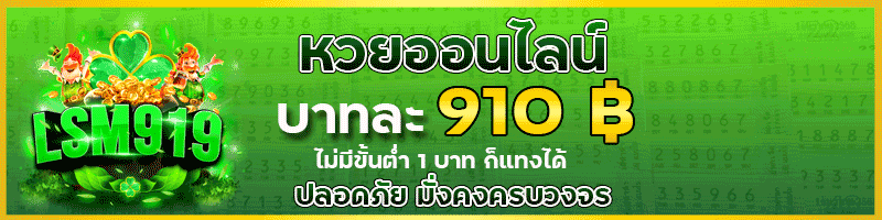 HUAY919